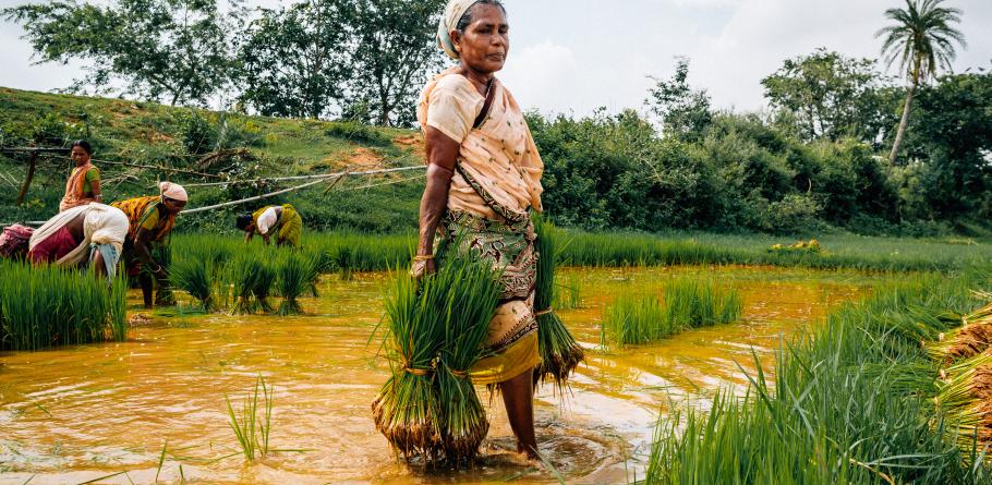 Smallholder Women Farmers See Improved Financial Independence with